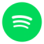 Listen Simon Dice Rock on Spotify. Logo icon in green circle.